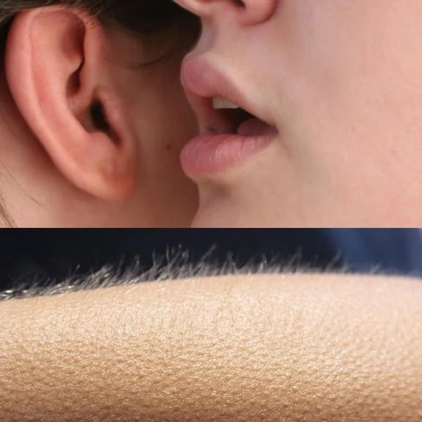 Close-up editorial image of a whisper and goosebumps